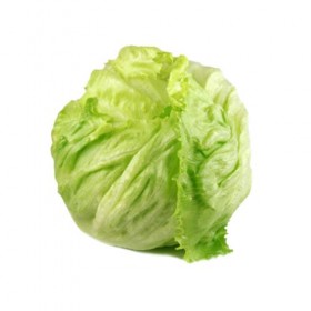Lechuga Iceberg