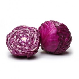 Lombarda