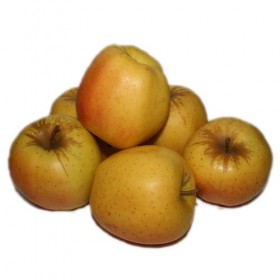 Manzana Golden
