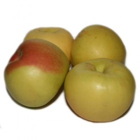 Manzana Verde Doncella
