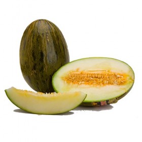Melón Bollo