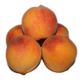 Melocotones de Calanda