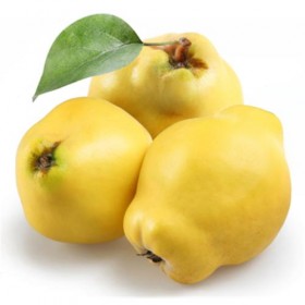 Membrillo
