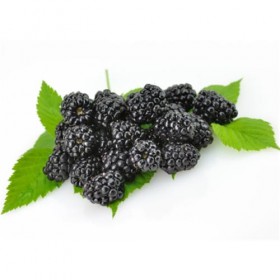 Moras