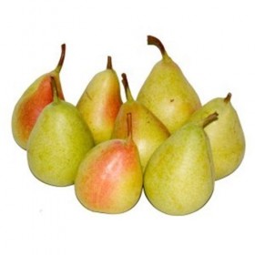 Pera Ercolina
