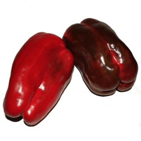 Pimiento Rojo