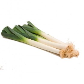 Puerro Fresco
