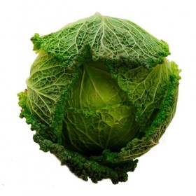 Repollo Rizado
