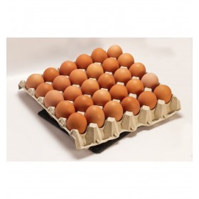 Carton de Huevos de 30  Unidades