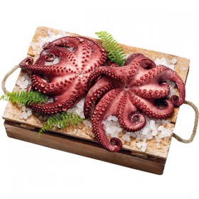 Pulpo Cocido
