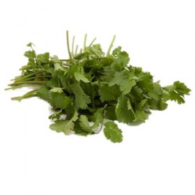 Cilantro Fresco